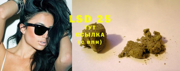 сатива Верхний Тагил