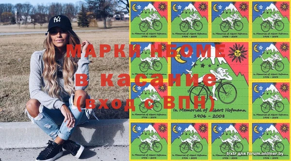сатива Верхний Тагил