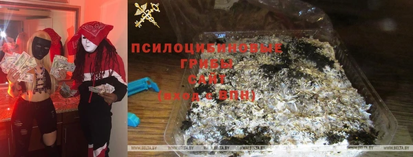 сатива Верхний Тагил
